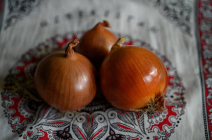 Onions on national background