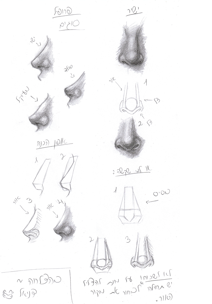 human nose tutorial