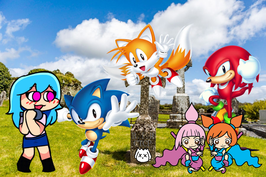 Sky And Sonic's Best Day by jobekrem on DeviantArt