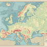 Europe Topographical Map