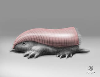 Pink Fairy Armadillo/Pepto-dillo