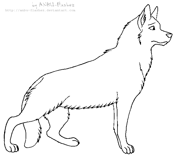 lineart - German Shepherd