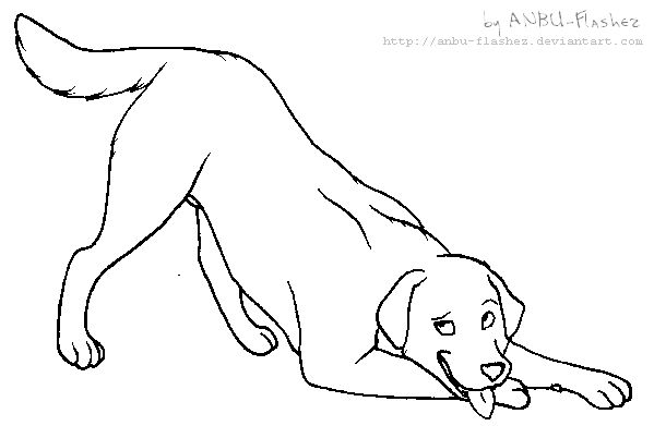 lineart - Labrador Retriever