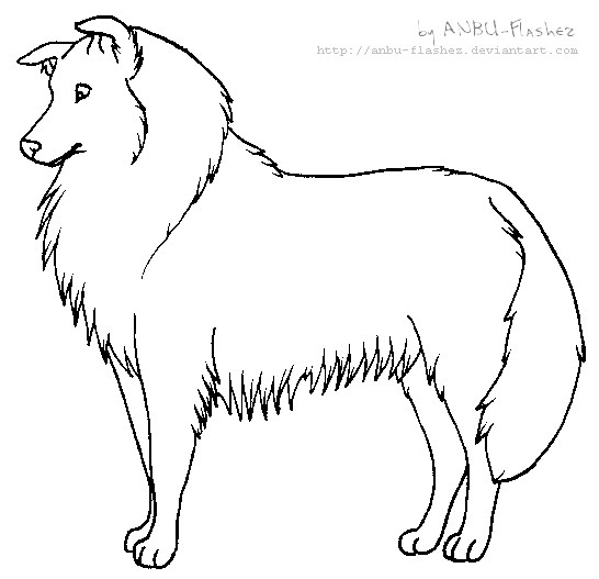 lineart - Rough Collie