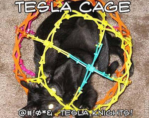 Tesla Cage