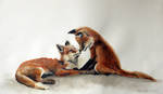 Foxes kissing. by louise-rabey