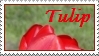 tulips stamp