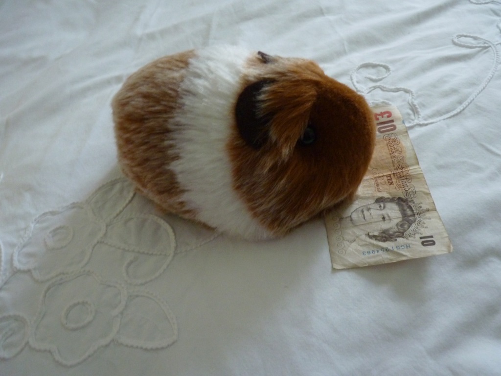 Piggie plush investigates my money