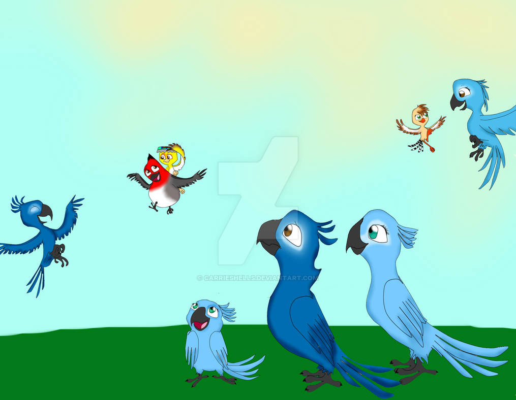 Ridicbird Deviantart Rio .:Rio:. by CarrieShells on DeviantArt