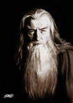 Gandalf the Grey by AdorindiL