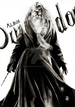 Albus P. W. B. Dumbledore