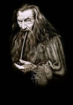 ~Gandalf~ by AdorindiL