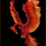 Flaming Feathers