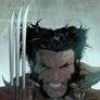 Wolverine color