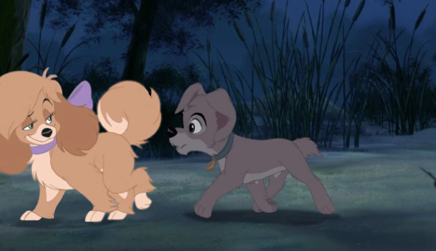 Lady and the Tramp Ships#5 - Scamp x Unknown by Ronno2021 on DeviantArt