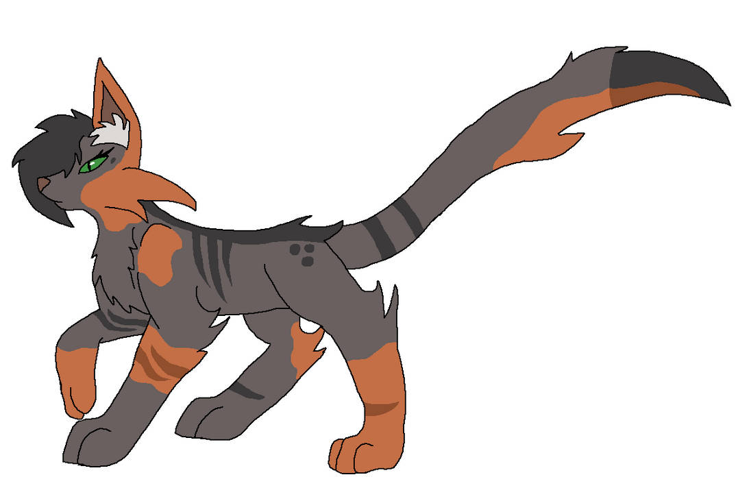 Brindlekit Brindlepelt by Destinyforestwarrior on DeviantArt