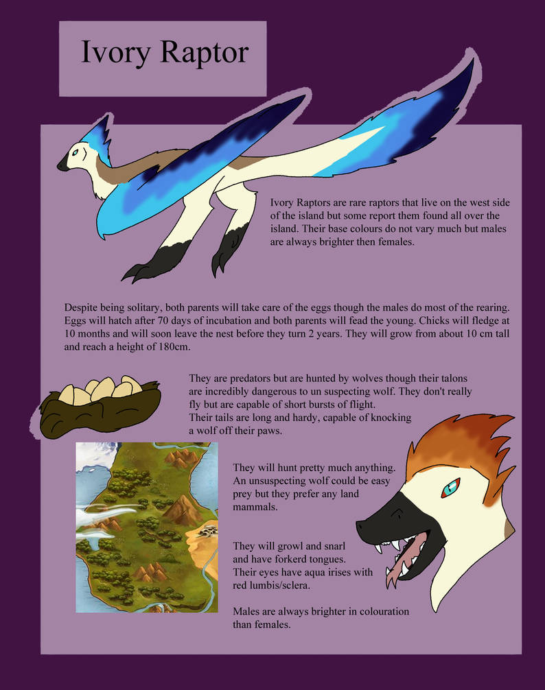 Ivory Raptor by Destinyforestwarrior on DeviantArt