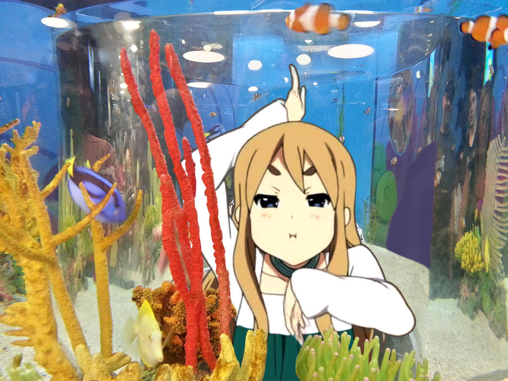 Mugi at the Aquarium