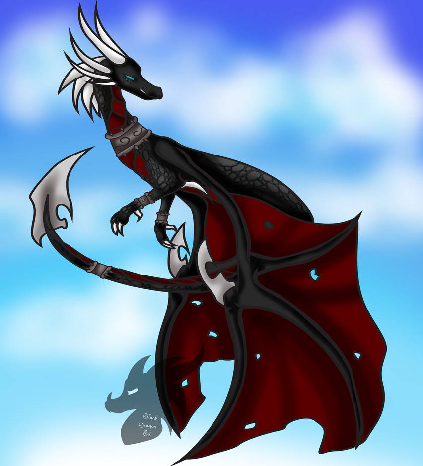 Cynnie by BlackDragonArt98 on DeviantArt