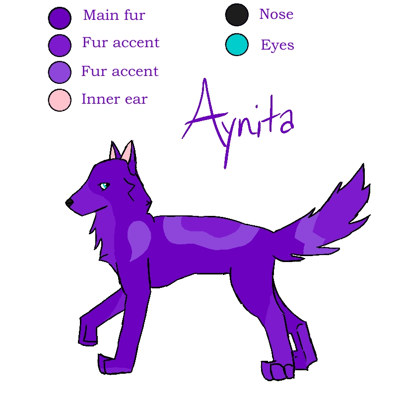 Aynita ref sheet