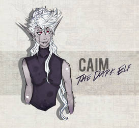 Caim, The Dark Elf!