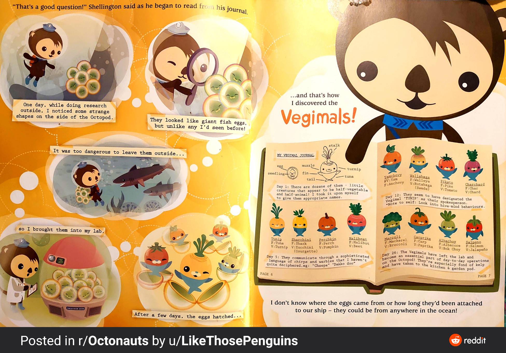 Very Vegimal Origin By Blastx17 On Deviantart Very Vegimal Origin By Blastx17 On Deviantart