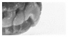 da8nb4m-d7eaea88-a4e7-4212-82ce-b4b25b3c
