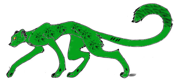 DFTs colored cat