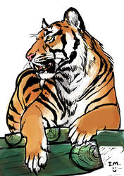 Tiger