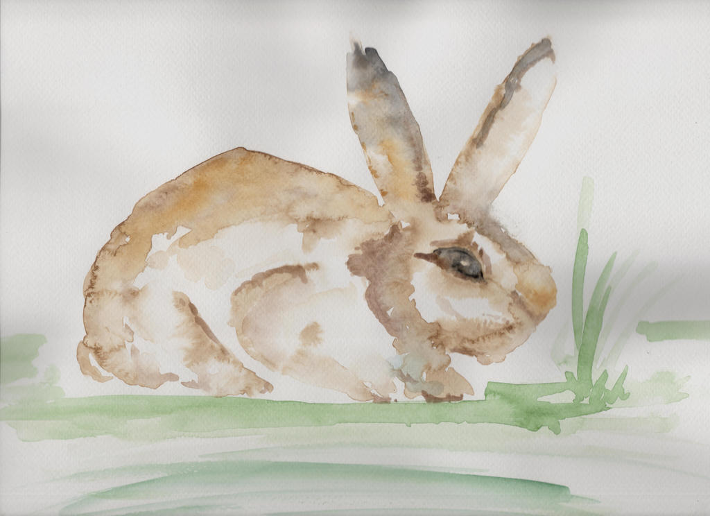 Brown Rabbit Deviantart Brown Rabbit by melbrankin on DeviantArt