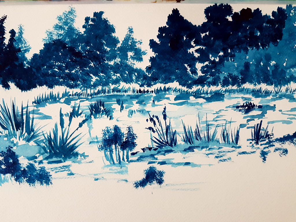 Quick Ink Drawing Quick ink sketch by melbrankin on DeviantArt
