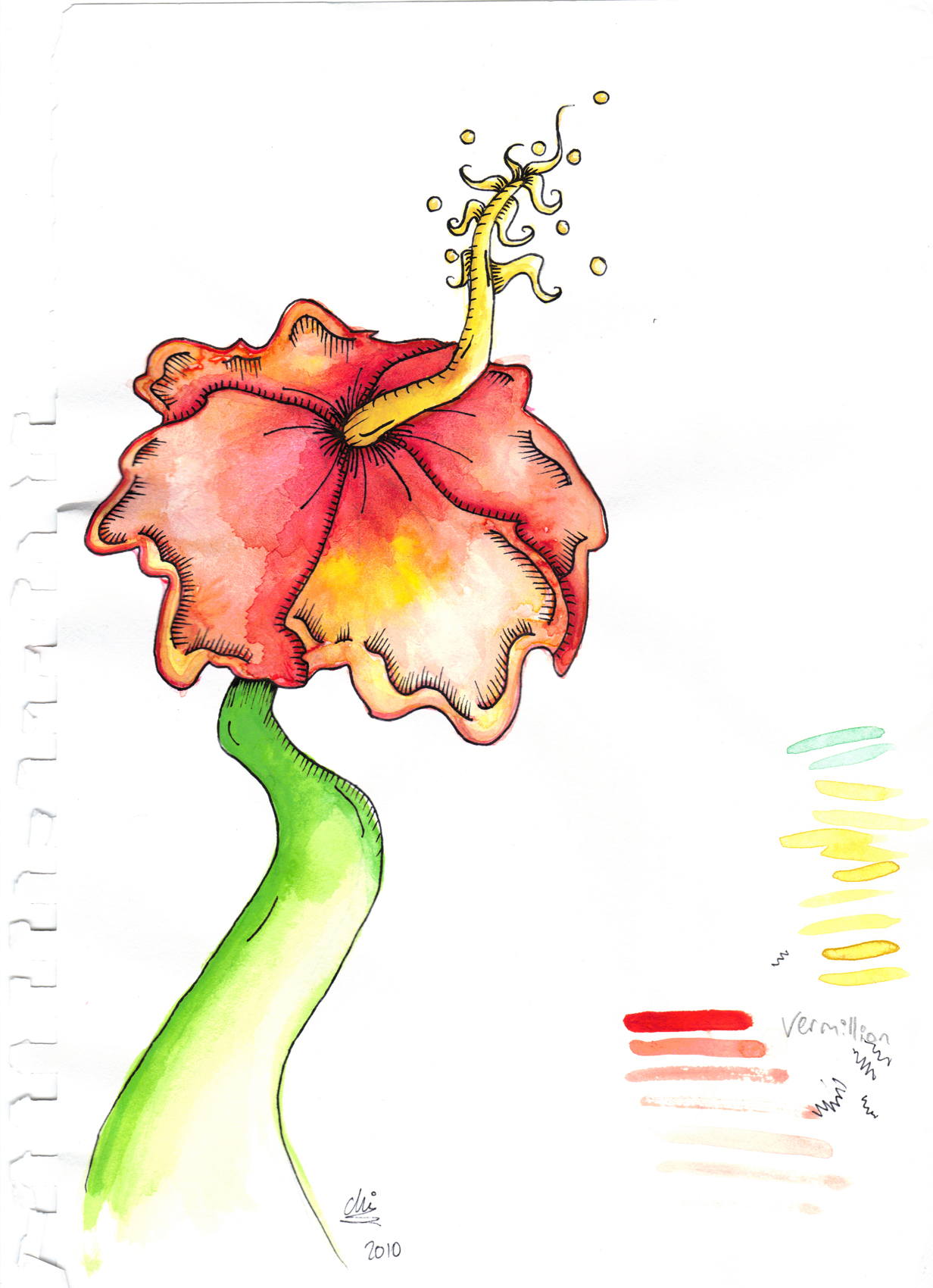 Hibiscus in watercolour