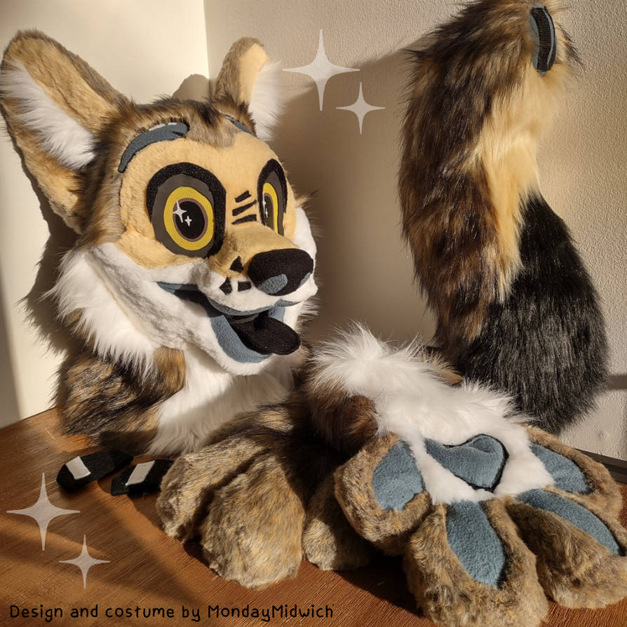 Toony Coyote Premade Fursuit by Midwich-the-Sergal on DeviantArt