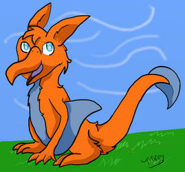 Dashell the Sky Dragon