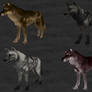 More Arokai Wolves