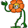 Cagney Carnation