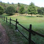 Forest path
