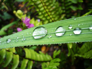 Raindrops by hey-its-Skai Raindrops by hey-its-Skai