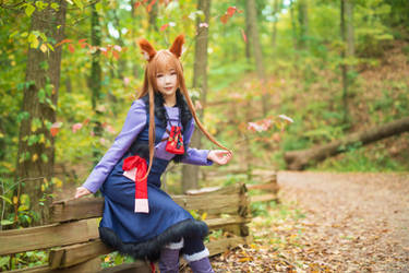 Holo (Spice and Wolf)