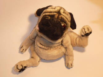 'Bits' scratching pug by mellisea