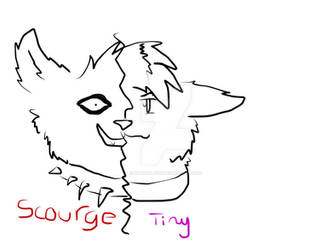 Two faces of Scourge