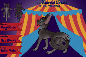 FF - The Ethereal Circus // #2584 Marylebone