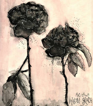 Black Rose