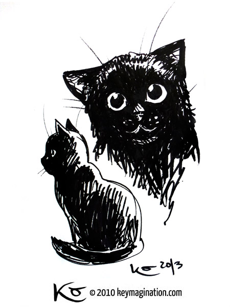 Black Cat memory study 2013