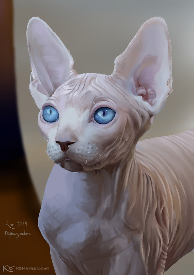 Dobby portrait c2014