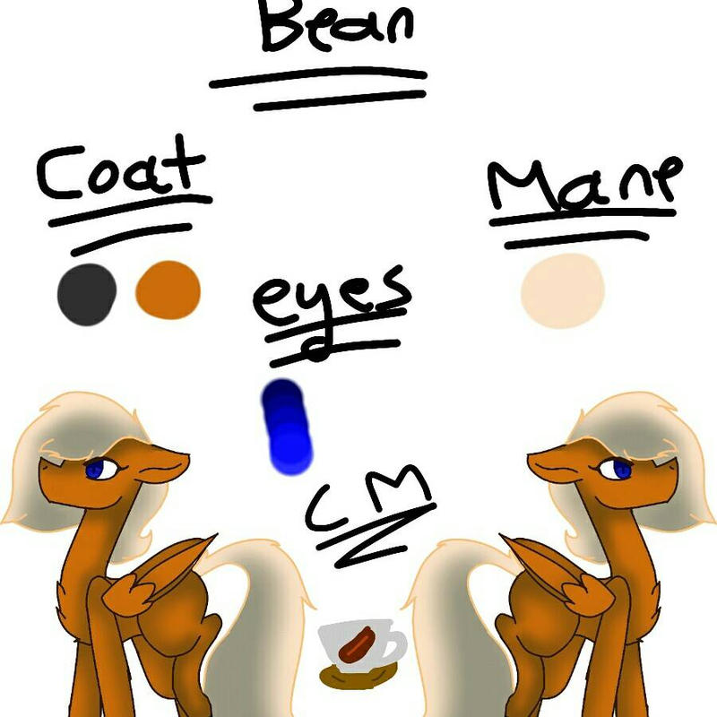 Ref Sheet For Coffee Bean By StripesMlp On DeviantArt
