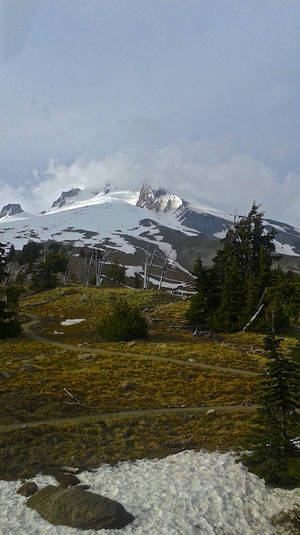 Timberline Thaw