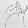Scurry, Skullrachnid, Scurry
