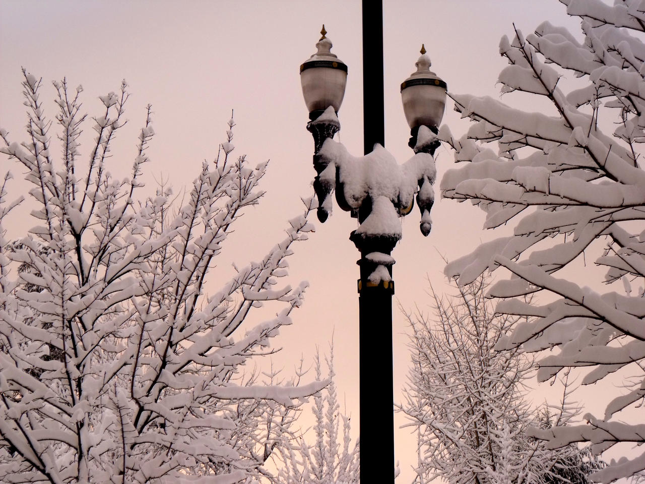 Lithe Dusky Dusky Snow by KElyse on DeviantArt