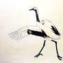 Common crane